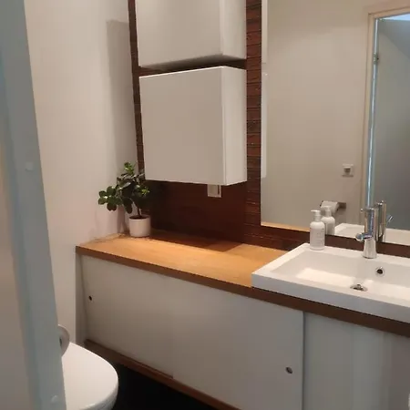Scandinavian Style House