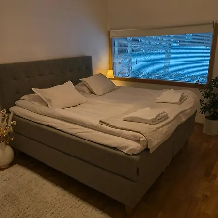 Scandinavian Style House Rovaniemi
